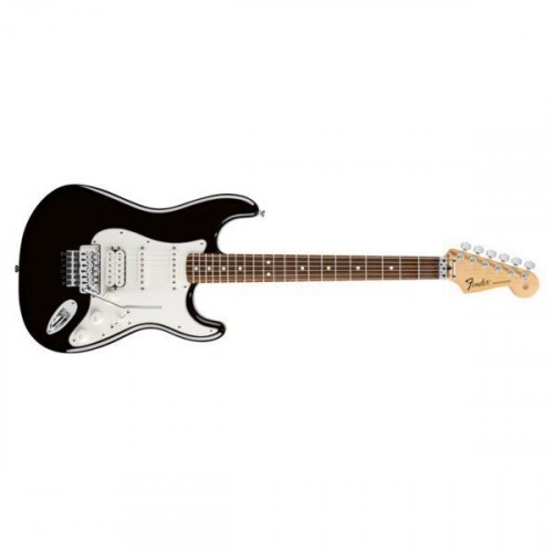 Fender Standard Stratocaster RW BLACK TINT