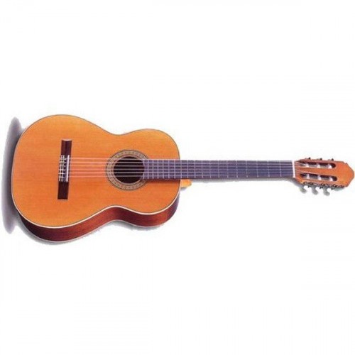 Raimundo 118 Cedar