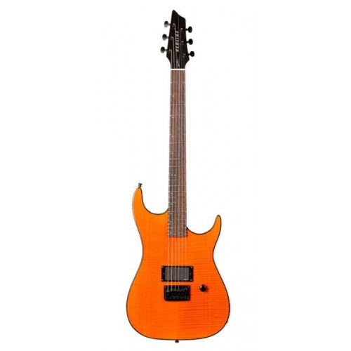 Godin 31528